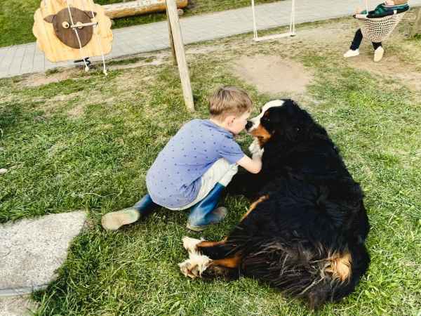 Kind spielt mit Hofhund auf dem Bauernhof in Vöran in Südtirol
